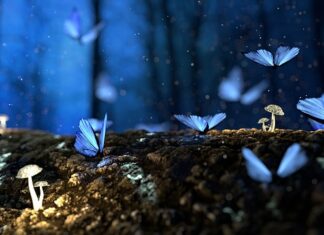 Jaka jest struktura wydatków publicznych? Jaka jest struktura wydatków publicznych?